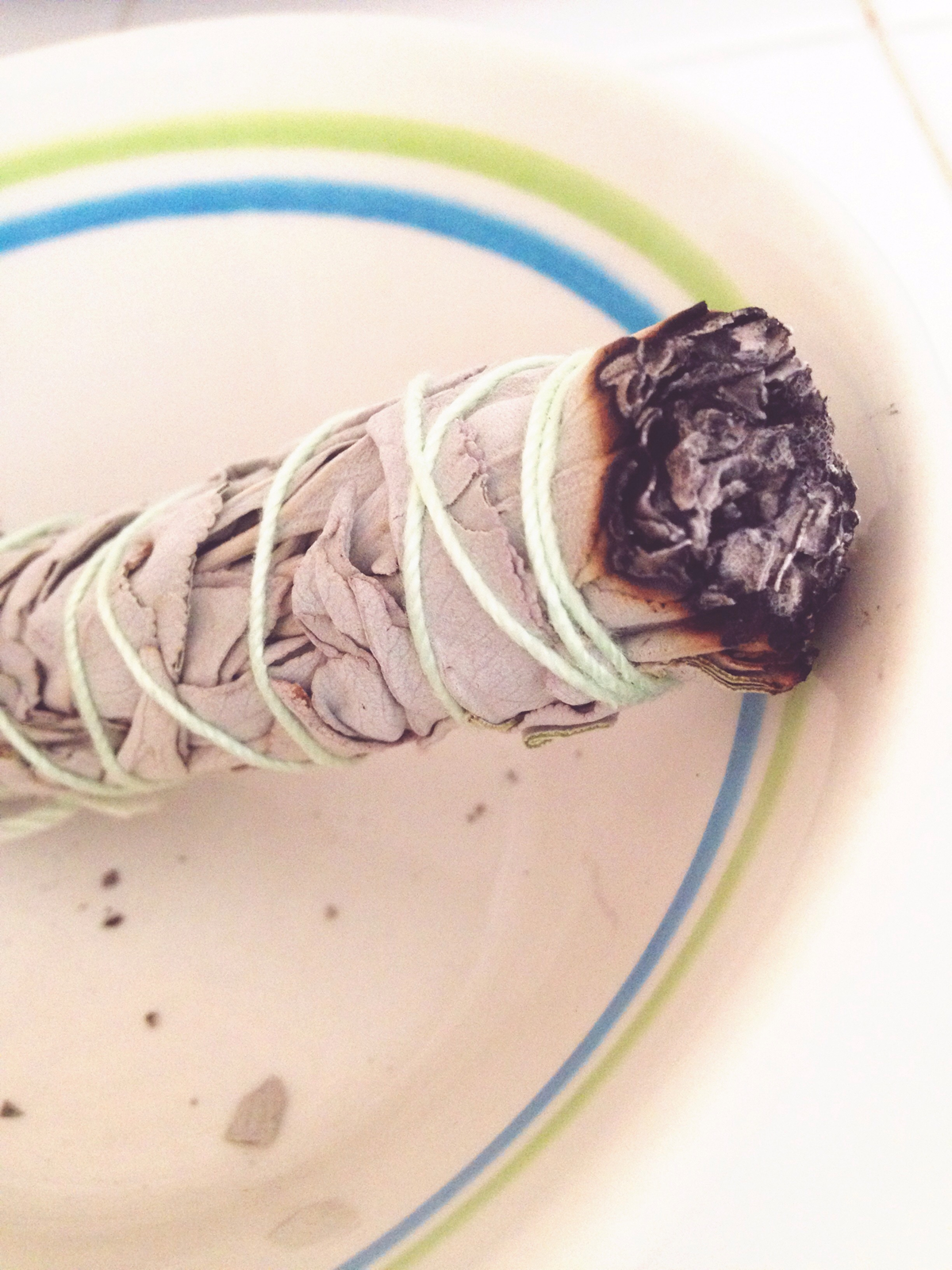 white sage smudge stick in smudge bowl
