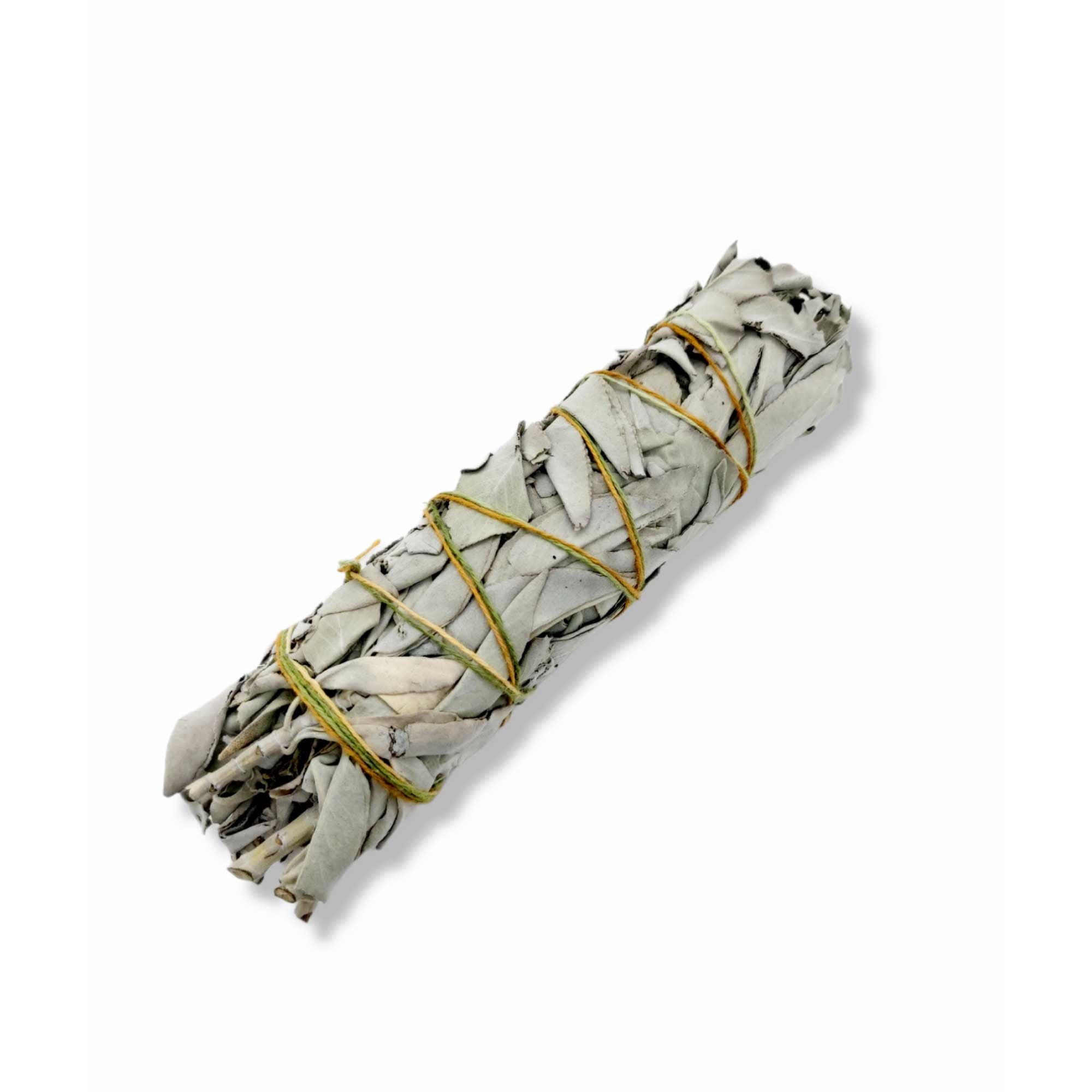 Wildcrafted White Sage Smudge Sticks Four Pack featuring white sage smudge bound with yellow string