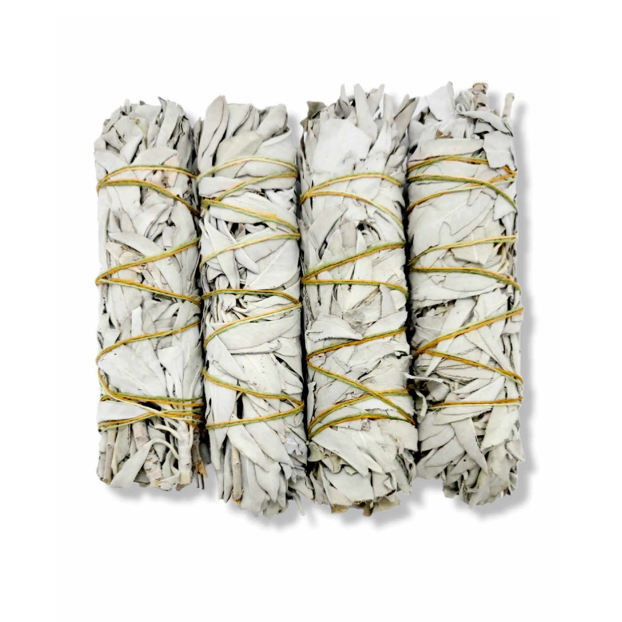 Four white sage smudge sticks bound with natural twine for cleansing rituals