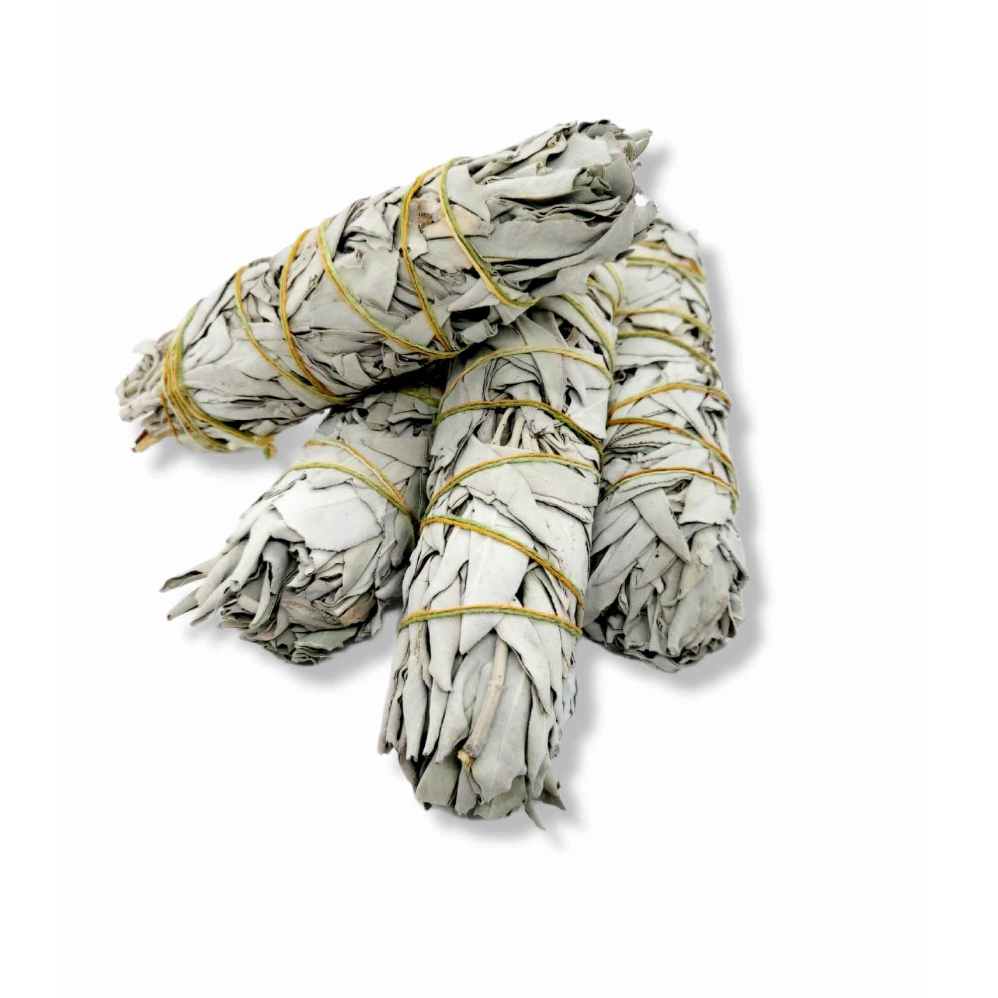 Bundled White Sage Smudge Sticks tied with twine in Wildcrafted Four Pack