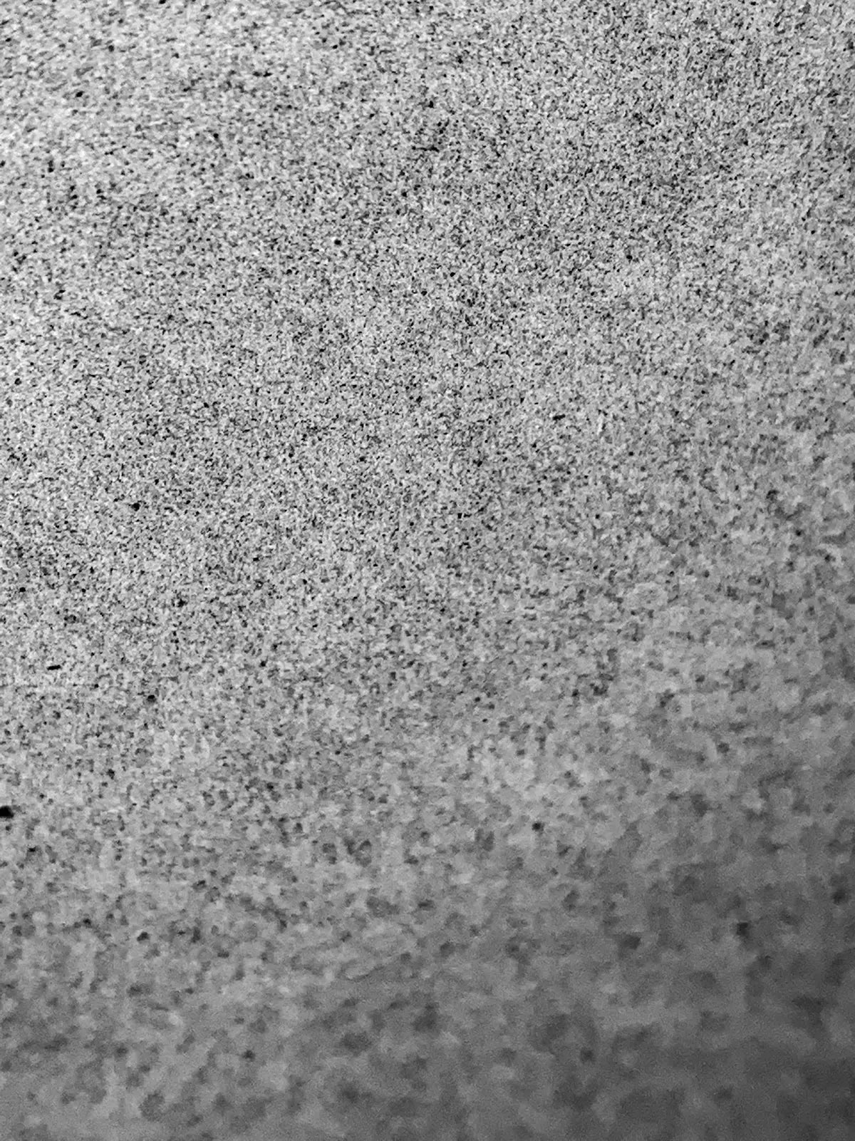 a black and white photo of a bird on the ground