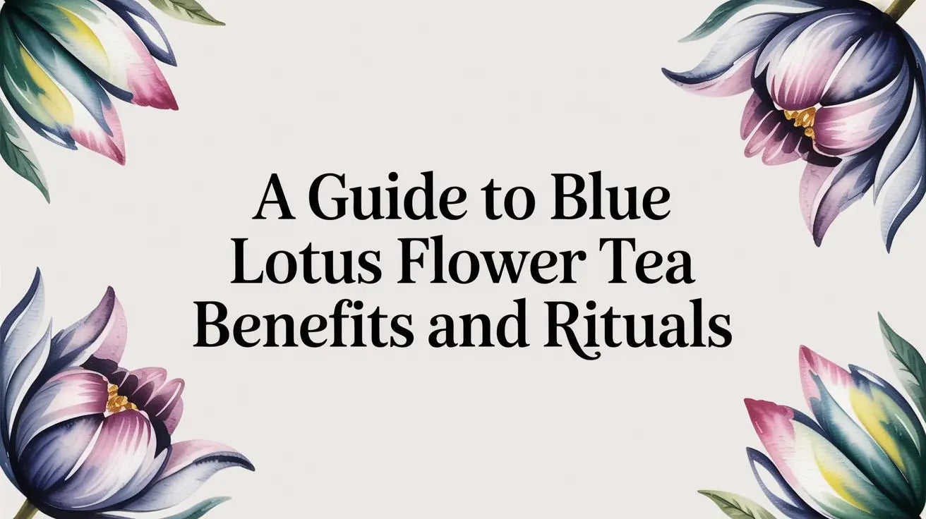 A Guide to Blue Lotus Flower Tea Benefits and Rituals