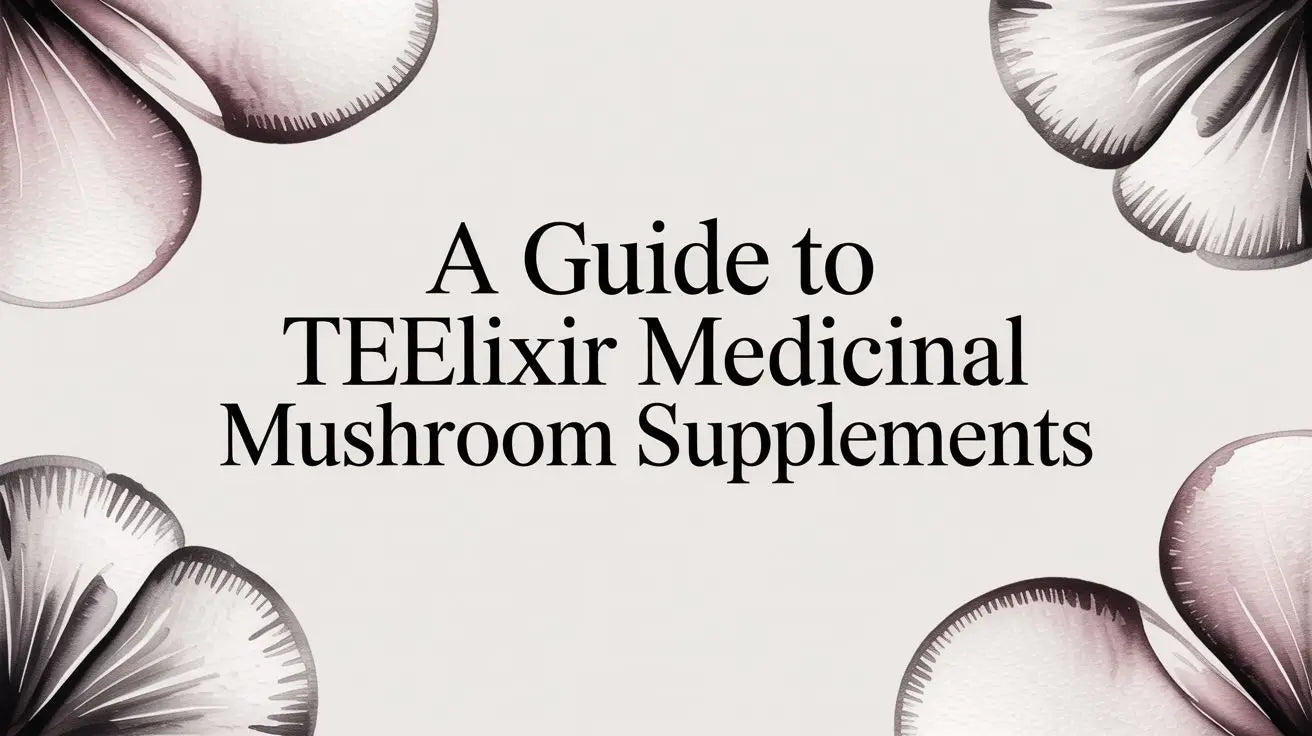 Teelixir A Guide To Teelixir Medicinal Mushroom Supplements – Wellness Apothecary
