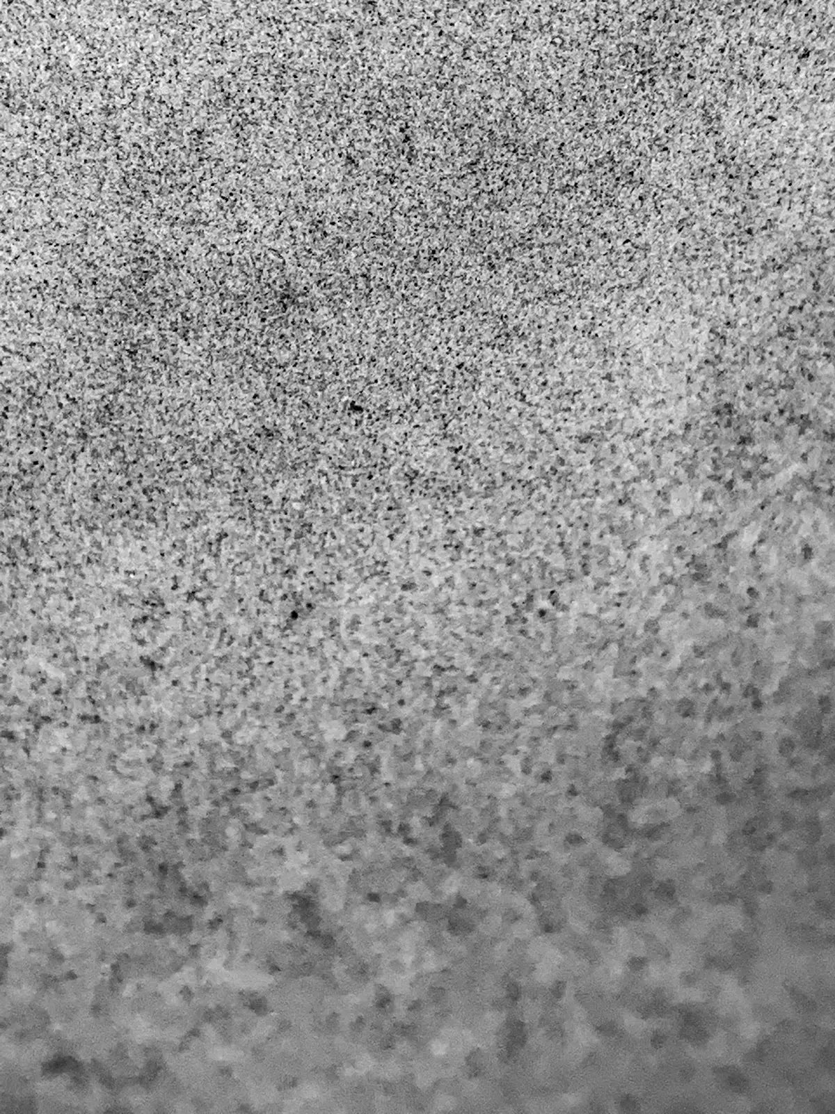 a black and white photo of a bird flying in the sky