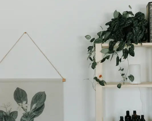 shelf with oils and diffuser