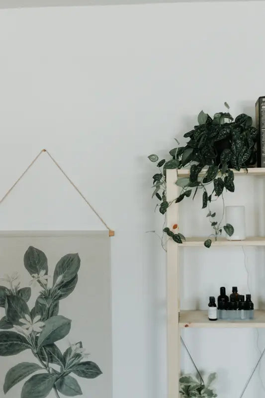 shelf with oils and diffuser