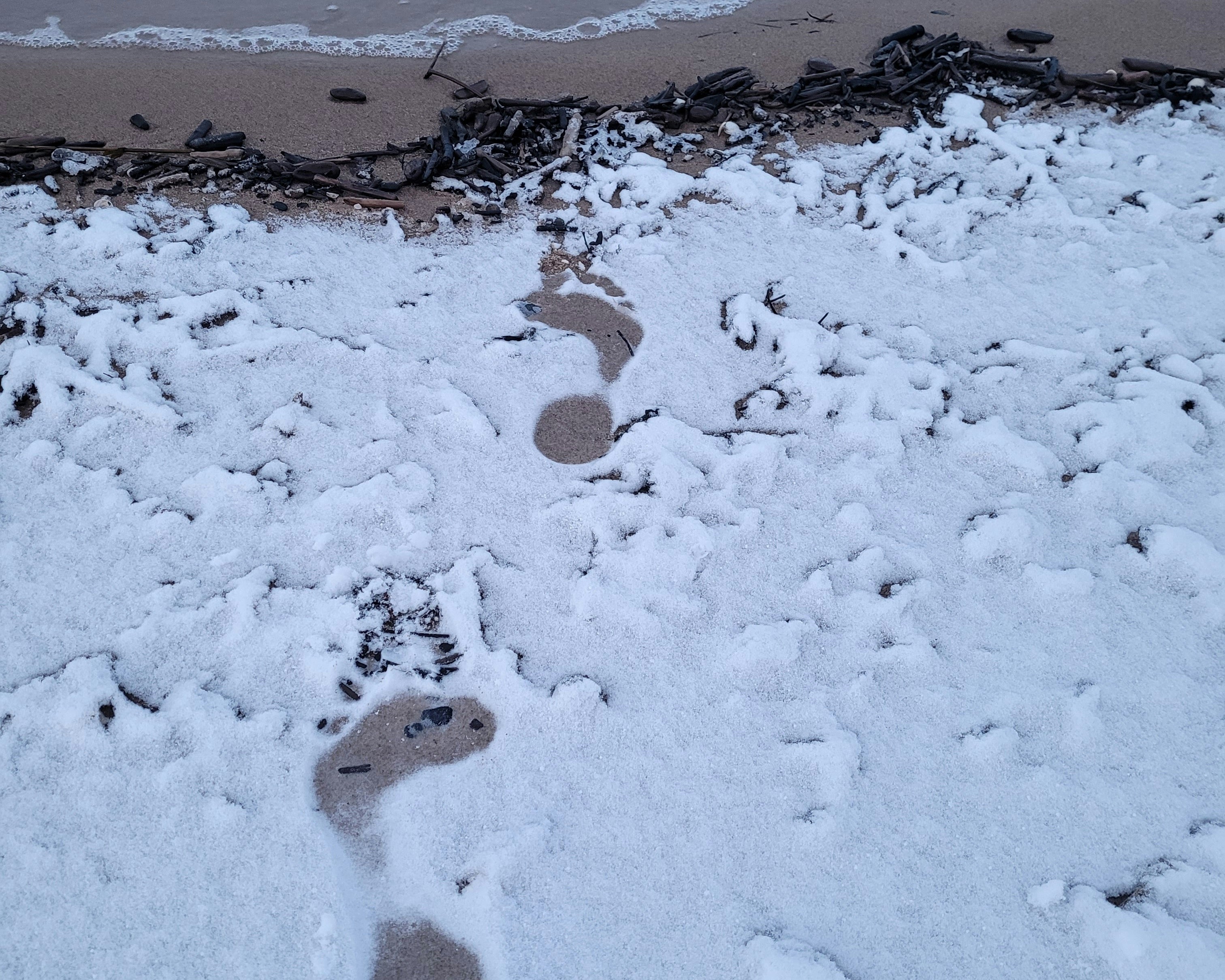 footprints in snow on beach