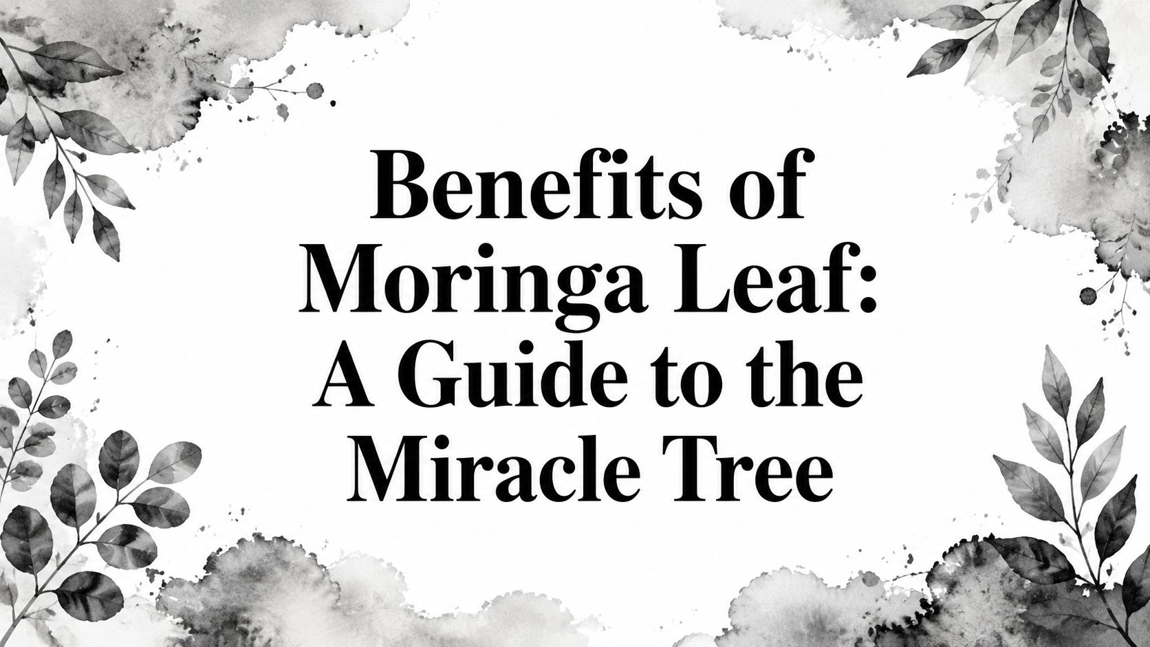 Benefits of Moringa Leaf: A Guide to the Miracle Tree