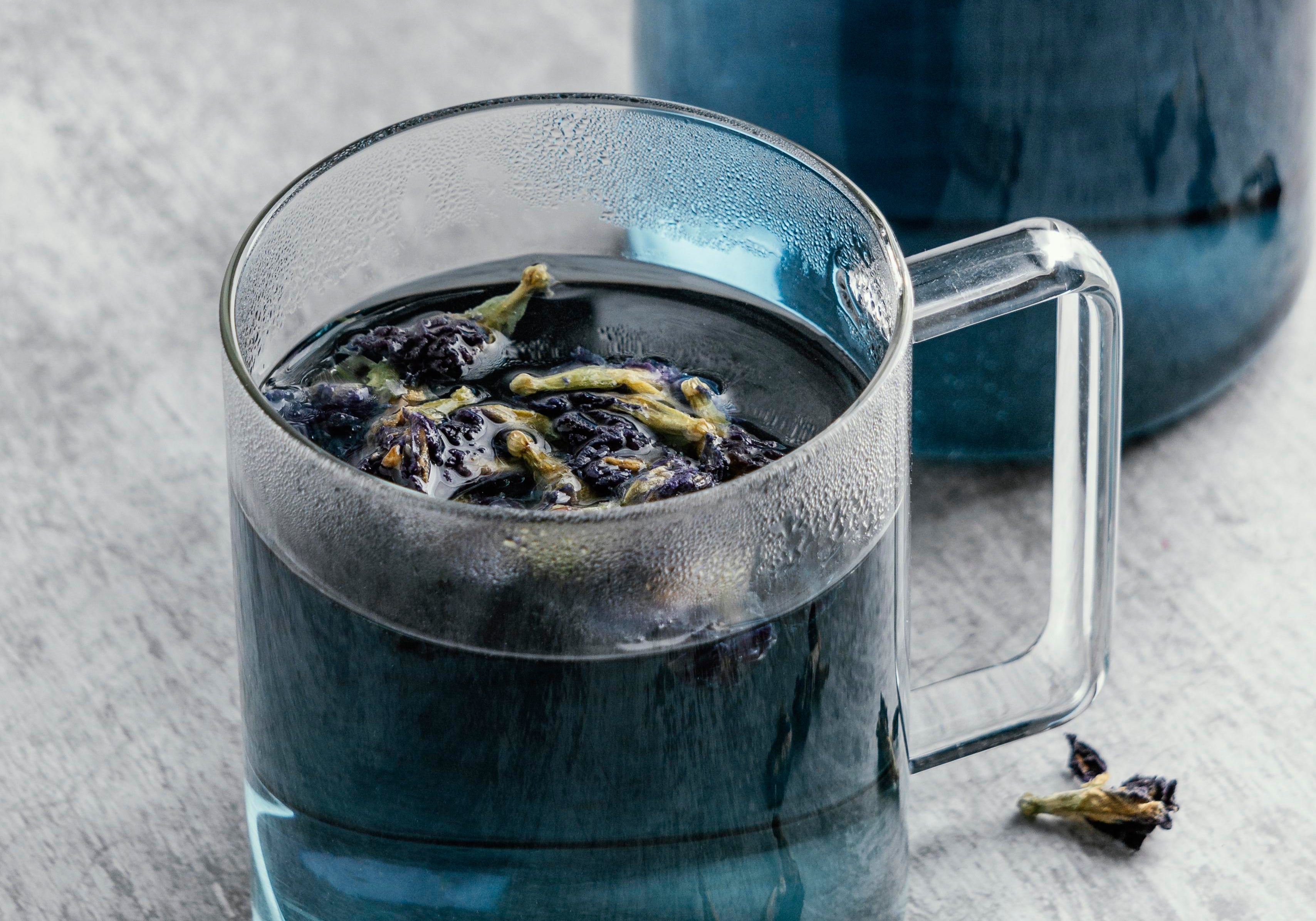 blue lotus flower tea in glass cup