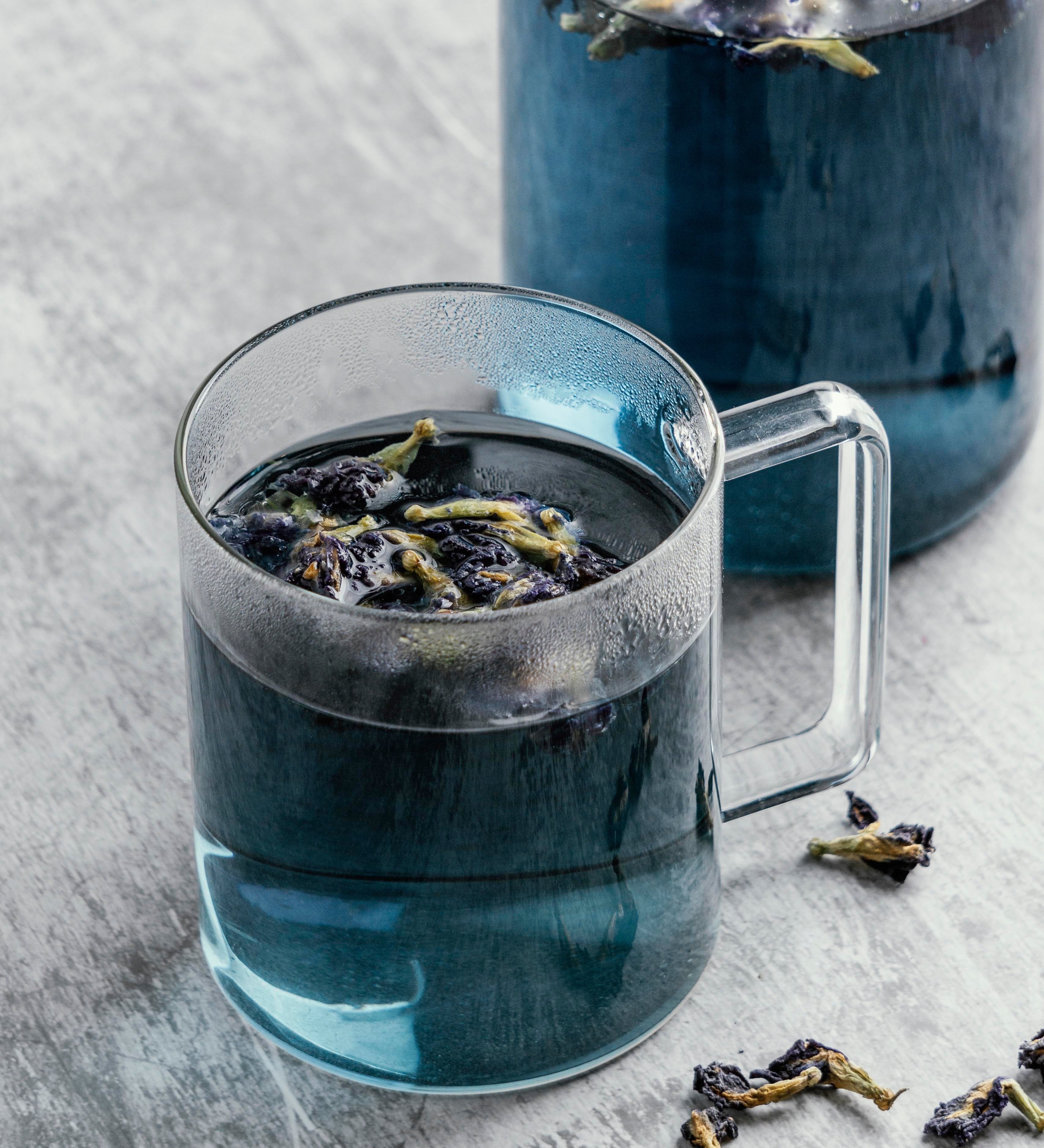 blue lotus flower tea in glass cup