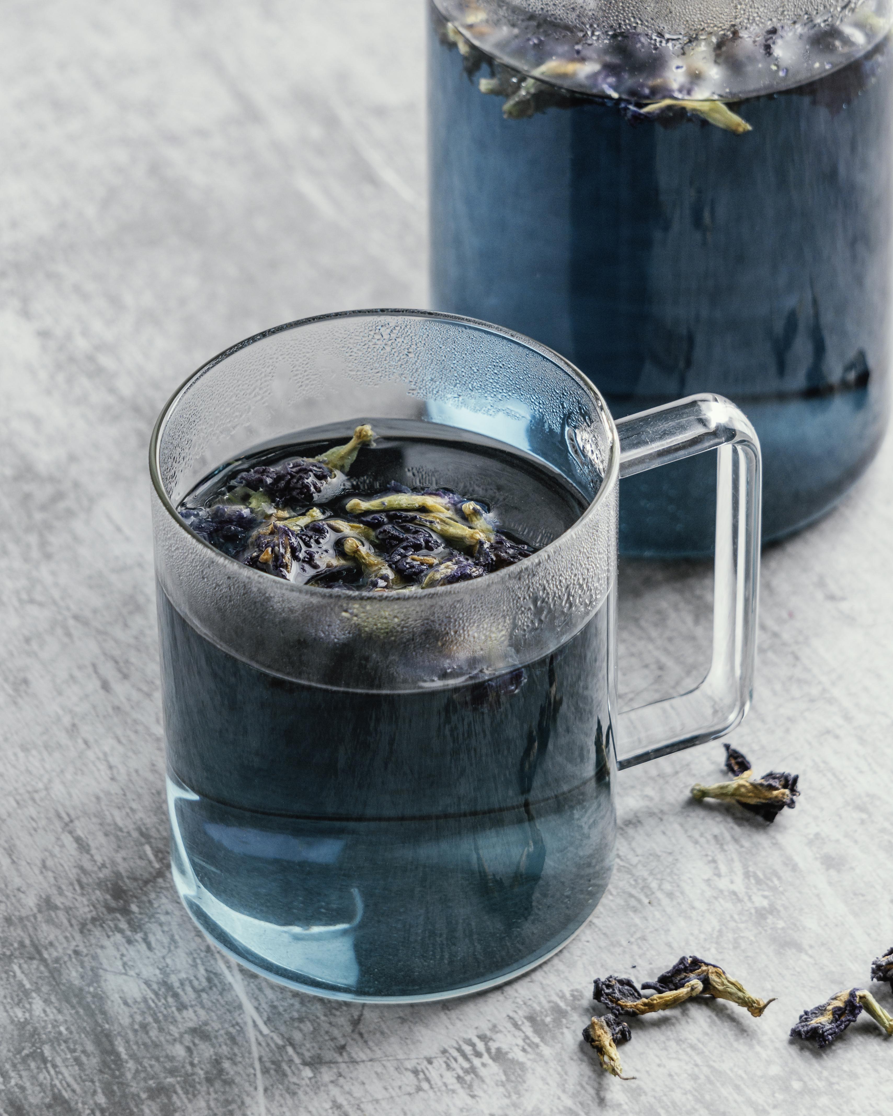 blue lotus flower tea in glass cup