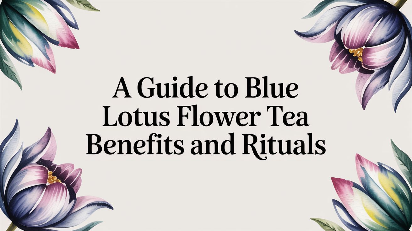 A Guide to Blue Lotus Flower Tea Benefits and Rituals