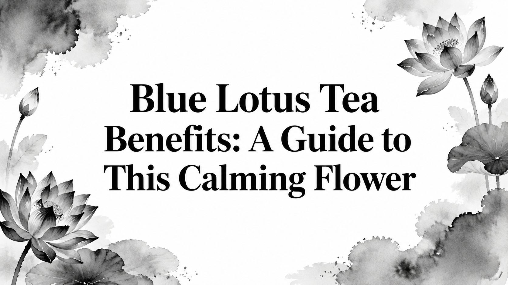 Blue Lotus Tea Benefits: A Guide to This Calming Flower