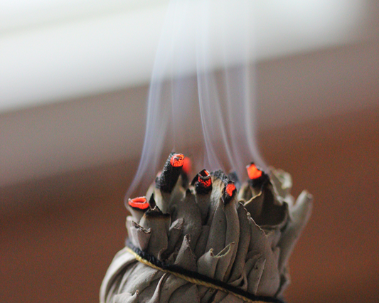 burning-white-sage-smudge-stick