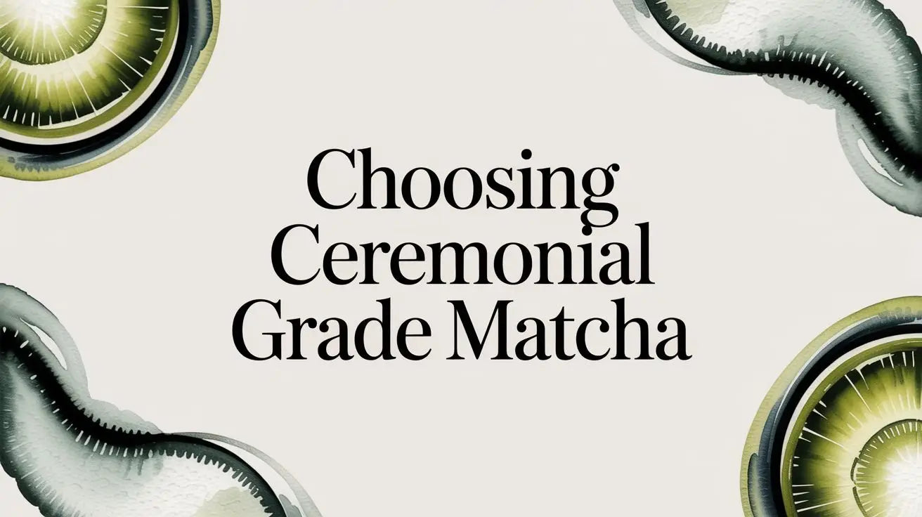 Choosing Ceremonial Grade Matcha