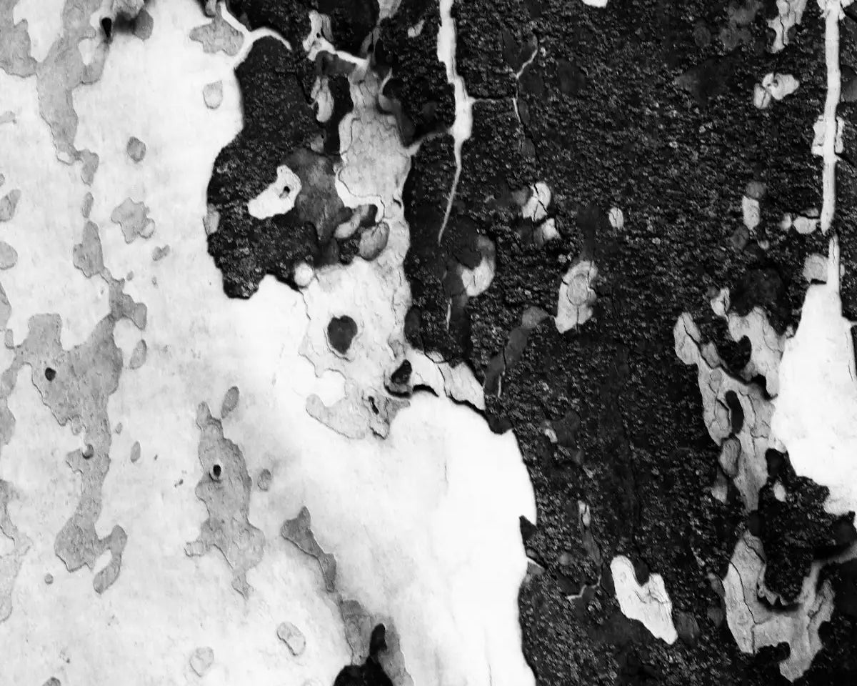 a black and white photo of snow and ice