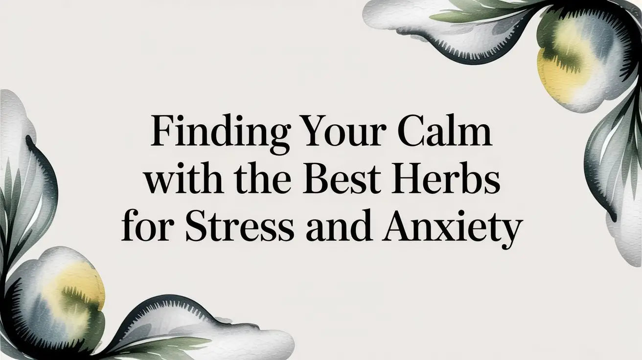 Finding Your Calm With the Best Herbs for Stress and Anxiety