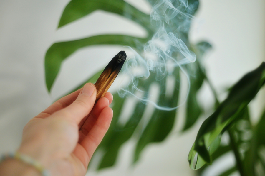 hand holding cleansing palo santo stick