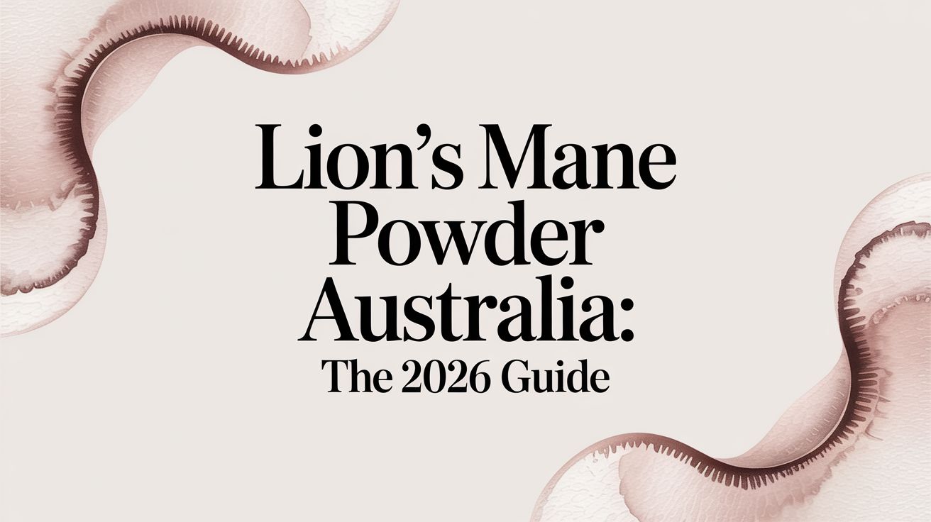 Lion's Mane Powder Australia: The 2026 Guide