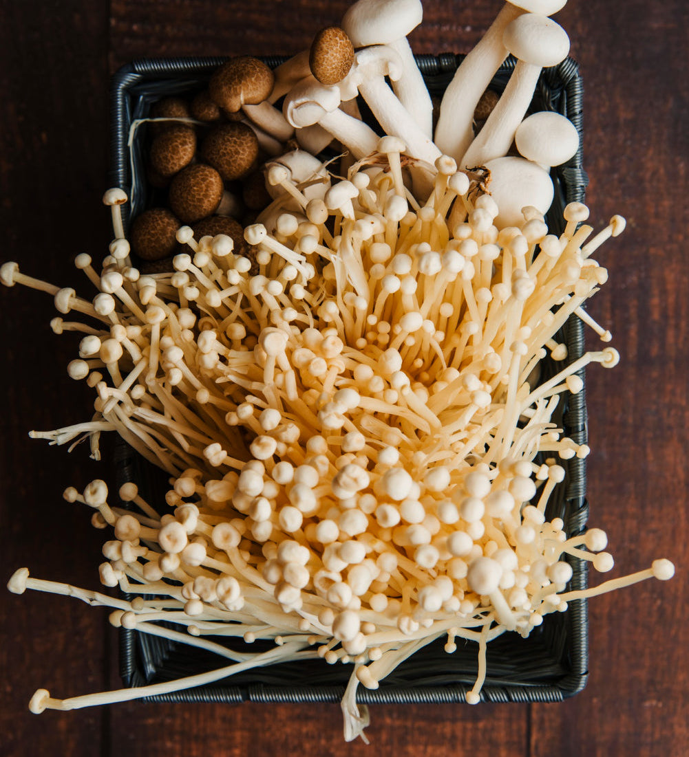 variety of medicinal mushrooms