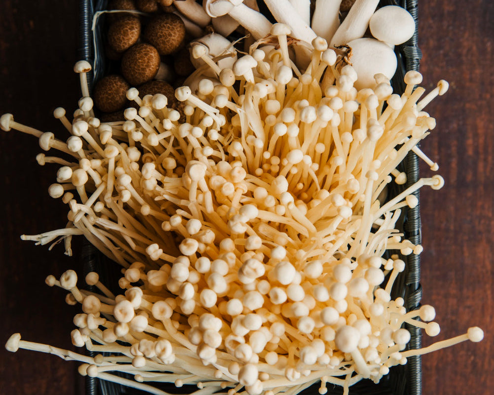 variety of medicinal mushrooms