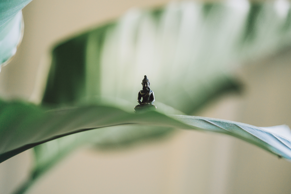 meditating buddha statue on leaf