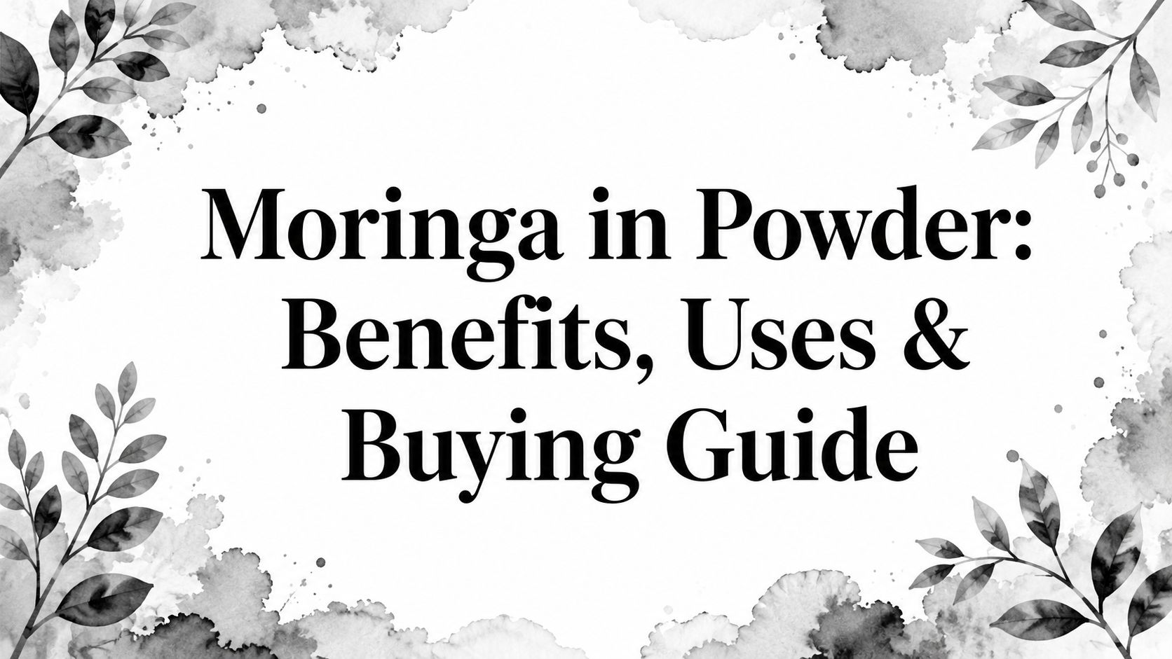 Moringa in Powder: Benefits, Uses & Buying Guide