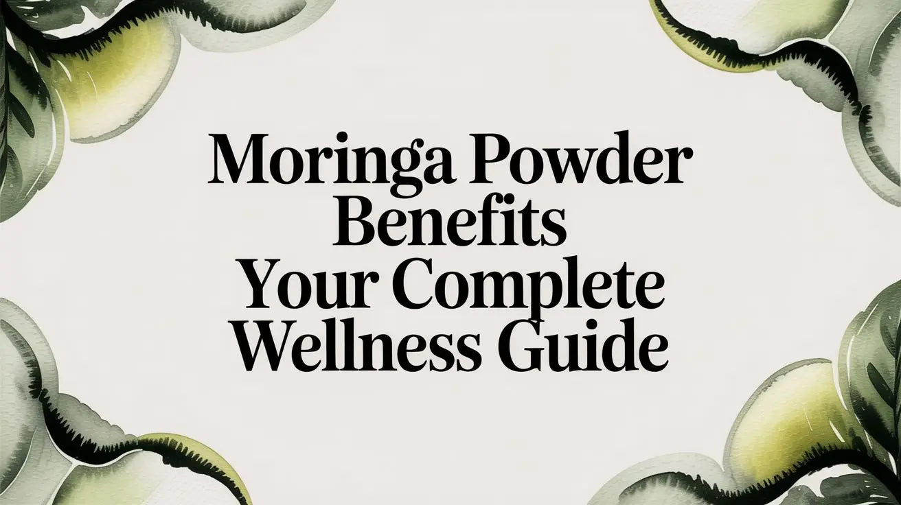 Moringa Powder Benefits Your Complete Wellness Guide