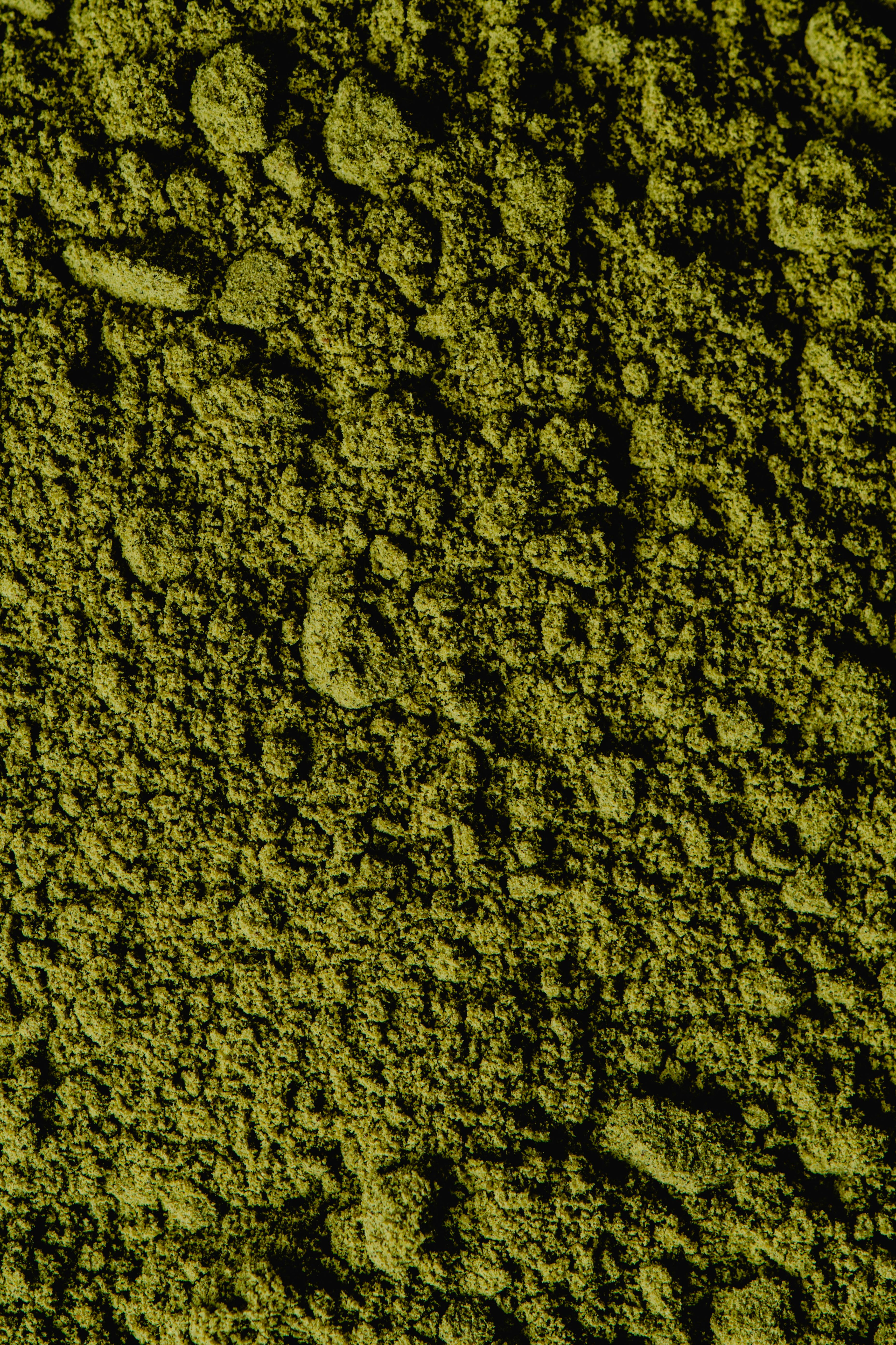 matcha latte powder
