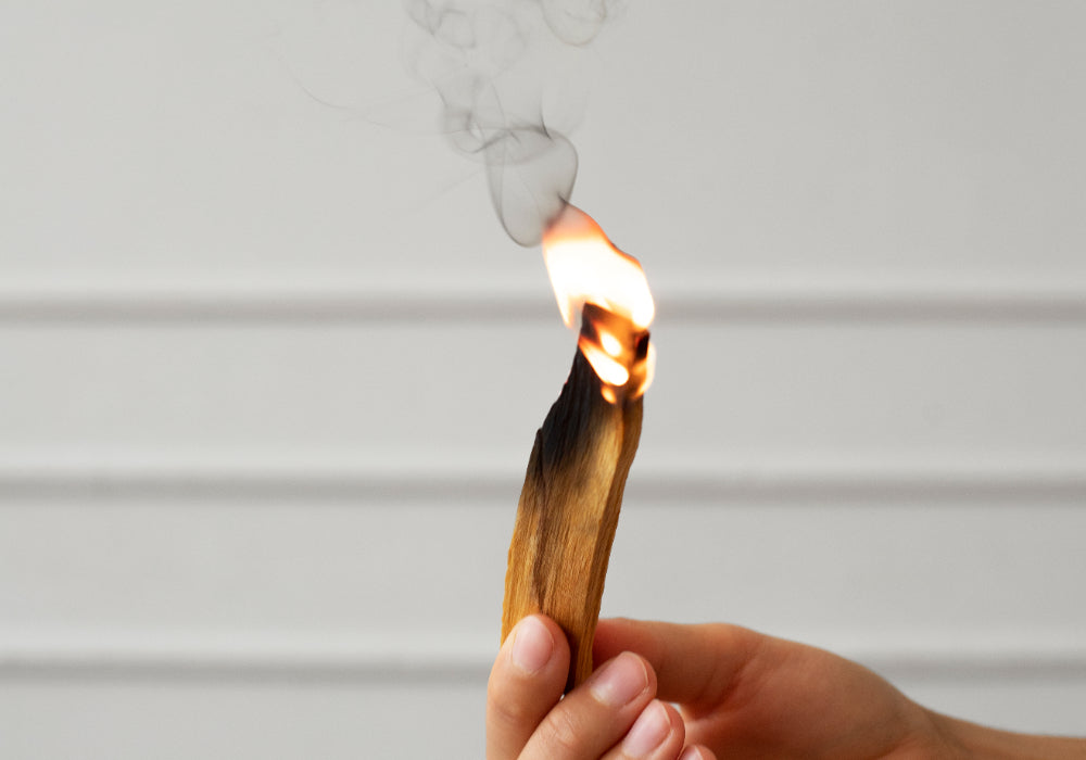 real palo santo tick being burned