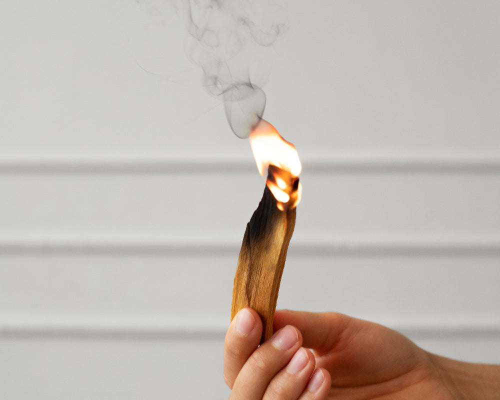 real palo santo tick being burned