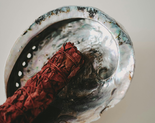 red sage smudge stick in abalone shell bowl