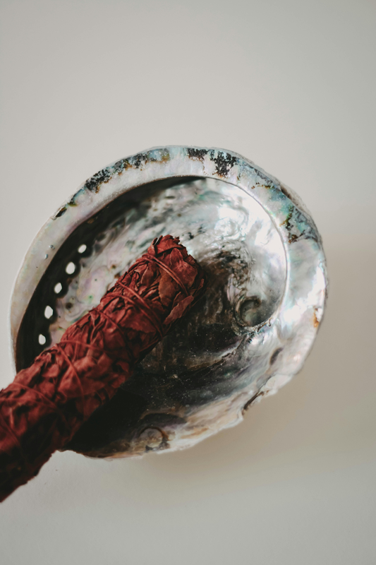 red sage smudge stick in abalone shell bowl