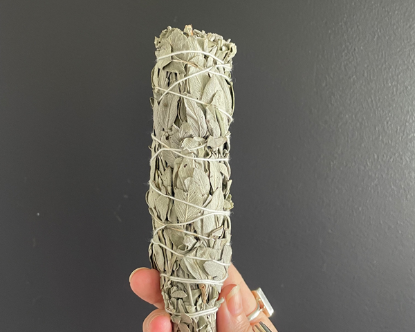 white sage smudge stick held in front of black wall