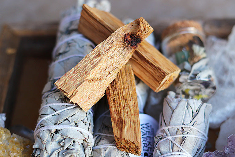 white sage and palo santo smudge sticks