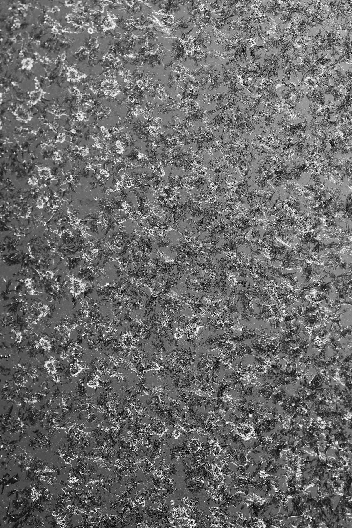 a black and white photo of a textured surface