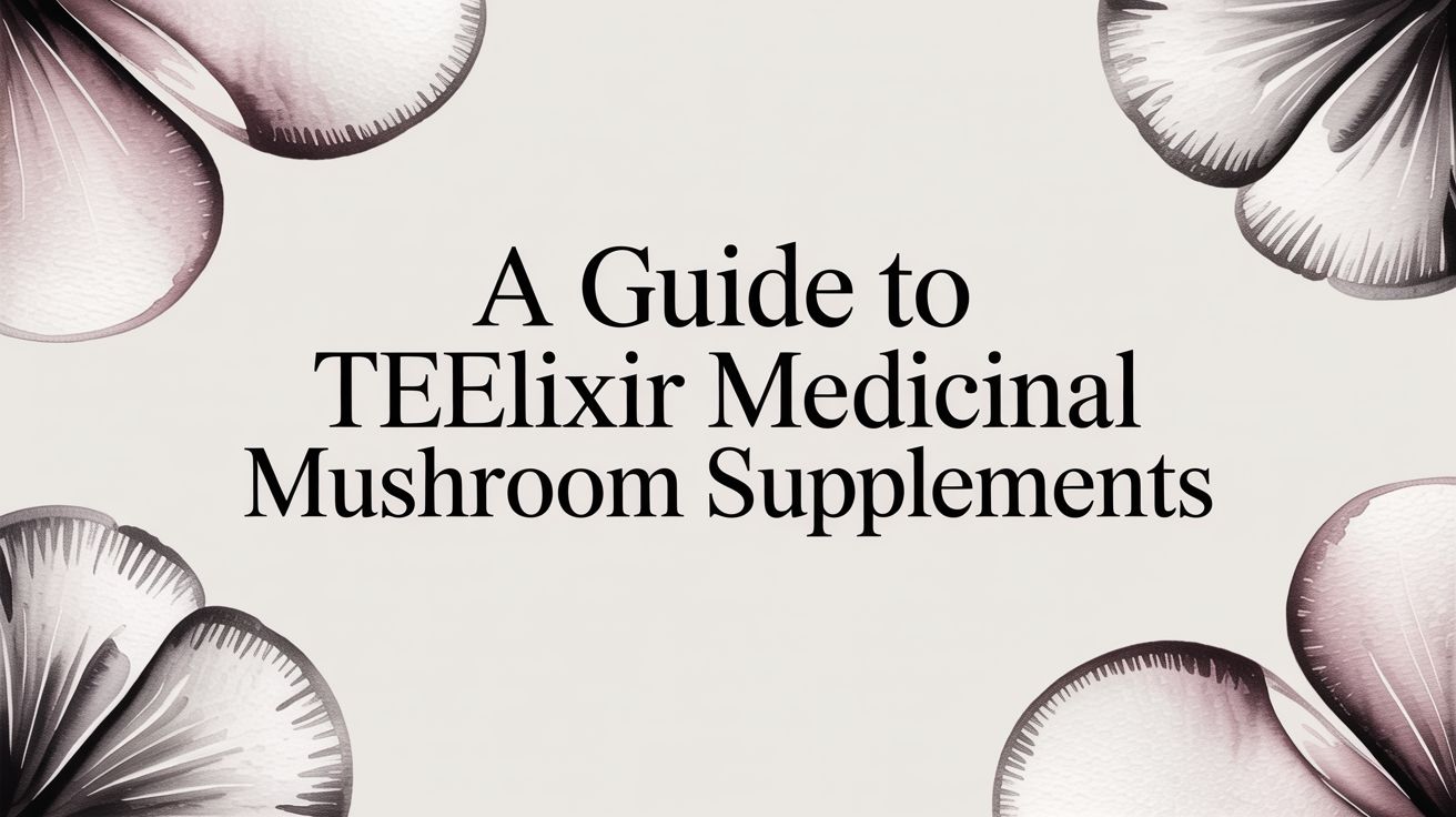 A Guide To Teelixir Medicinal Mushroom Supplements