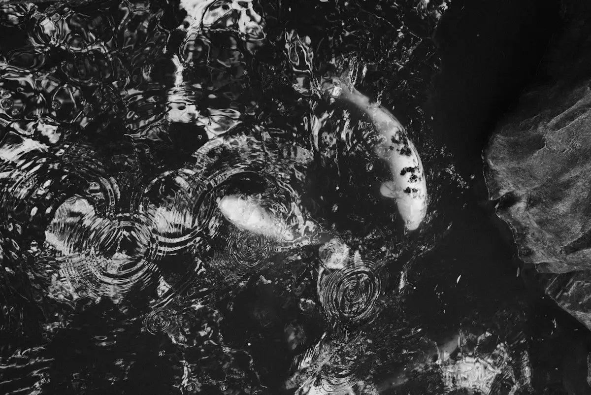 A black and white photo of a woman laying on the ground