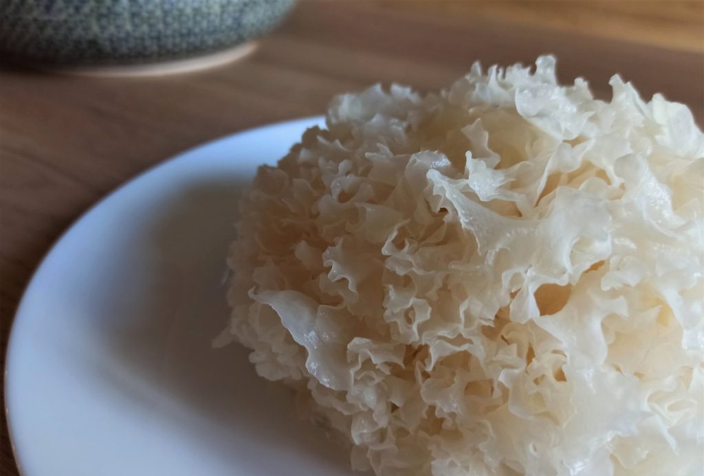 tremella mushroom on plate