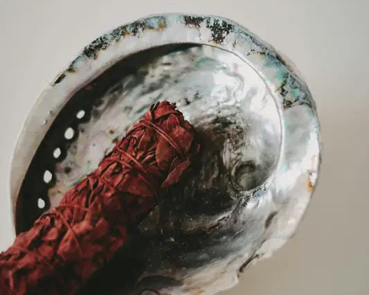 red sage smudge stick in abalone shell bowl