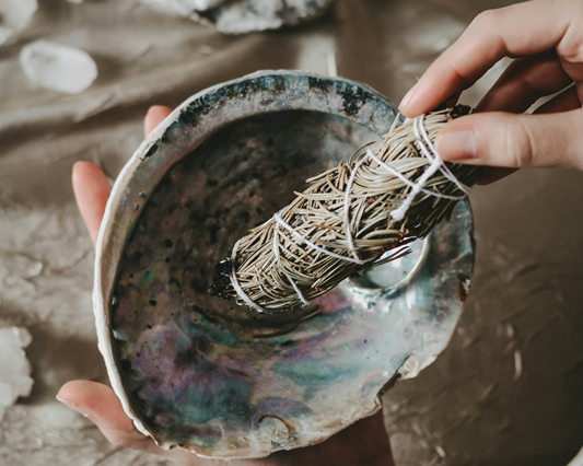 white sage smudge stick in abalone shell smudge bowl