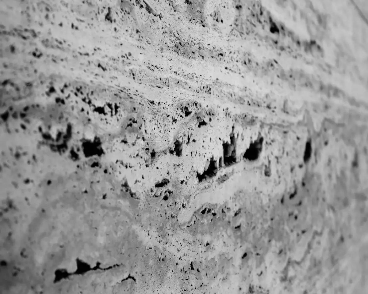 a black and white photo of a stone wall