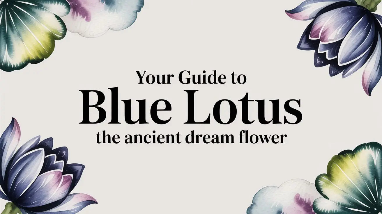 Your Guide to Blue Lotus the Ancient Dream Flower