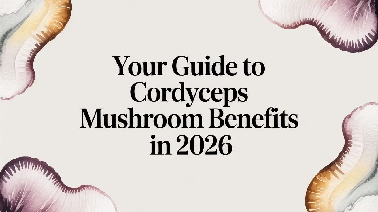 Your Guide to Cordyceps Mushroom Benefits in 2026