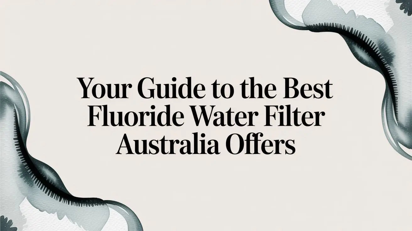 Your Guide to the Best Fluoride Water Filter Australia Offers