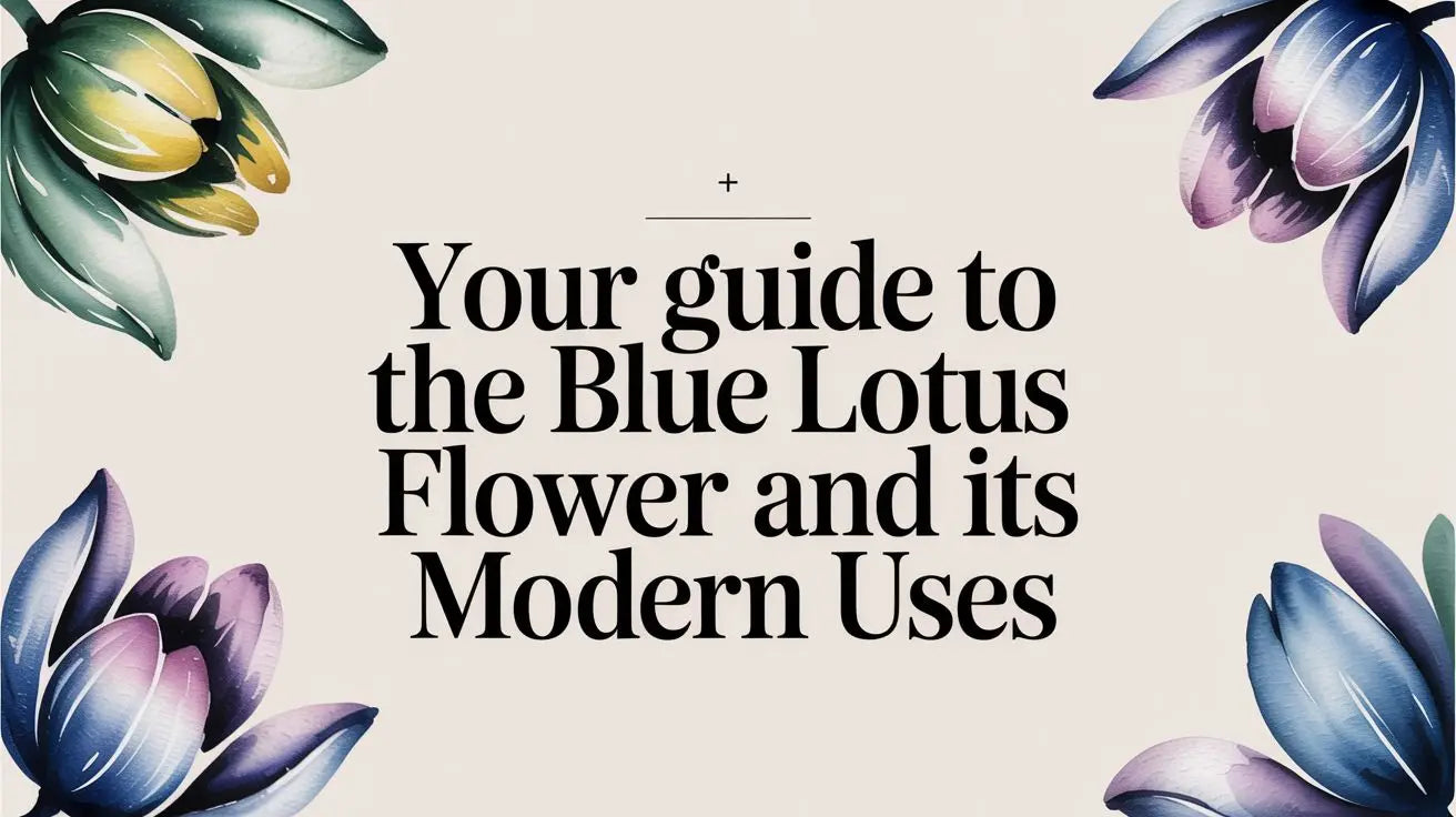 Your Guide to the Blue Lotus Flower and Its Modern Uses