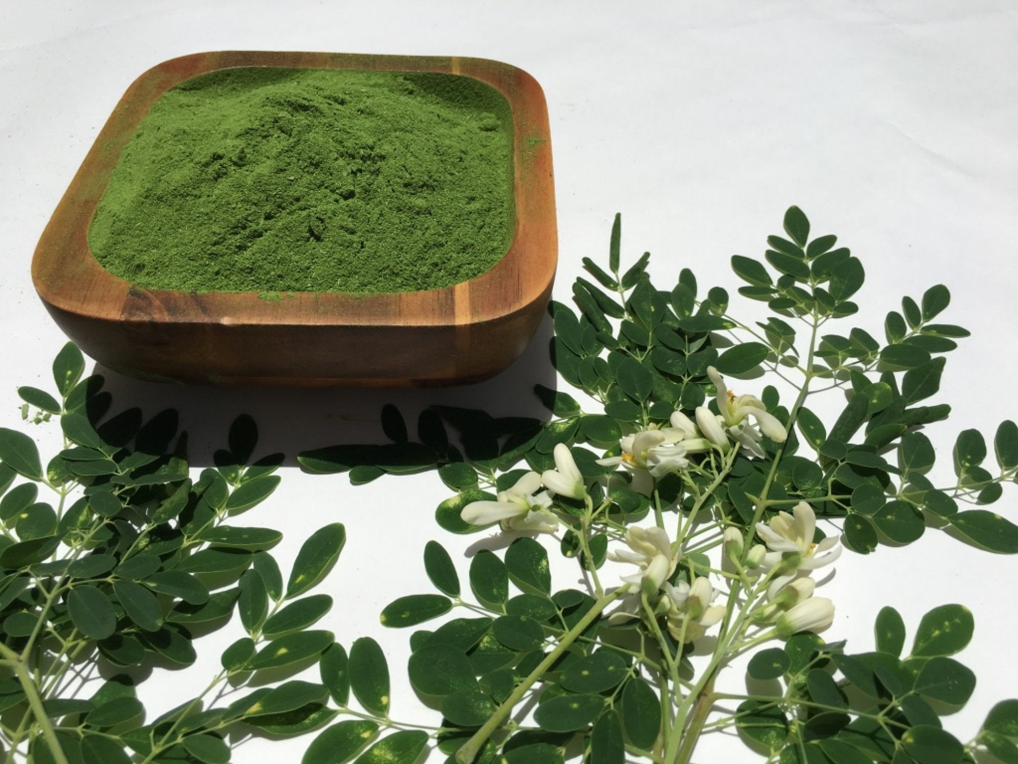 moringa leaf powder and plant