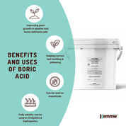 1Kg Boric Acid Powder Bucket 99.9% Pure Fully Soluble Granule Pest Ant Roaches - Pet Care > Pest Control > Household