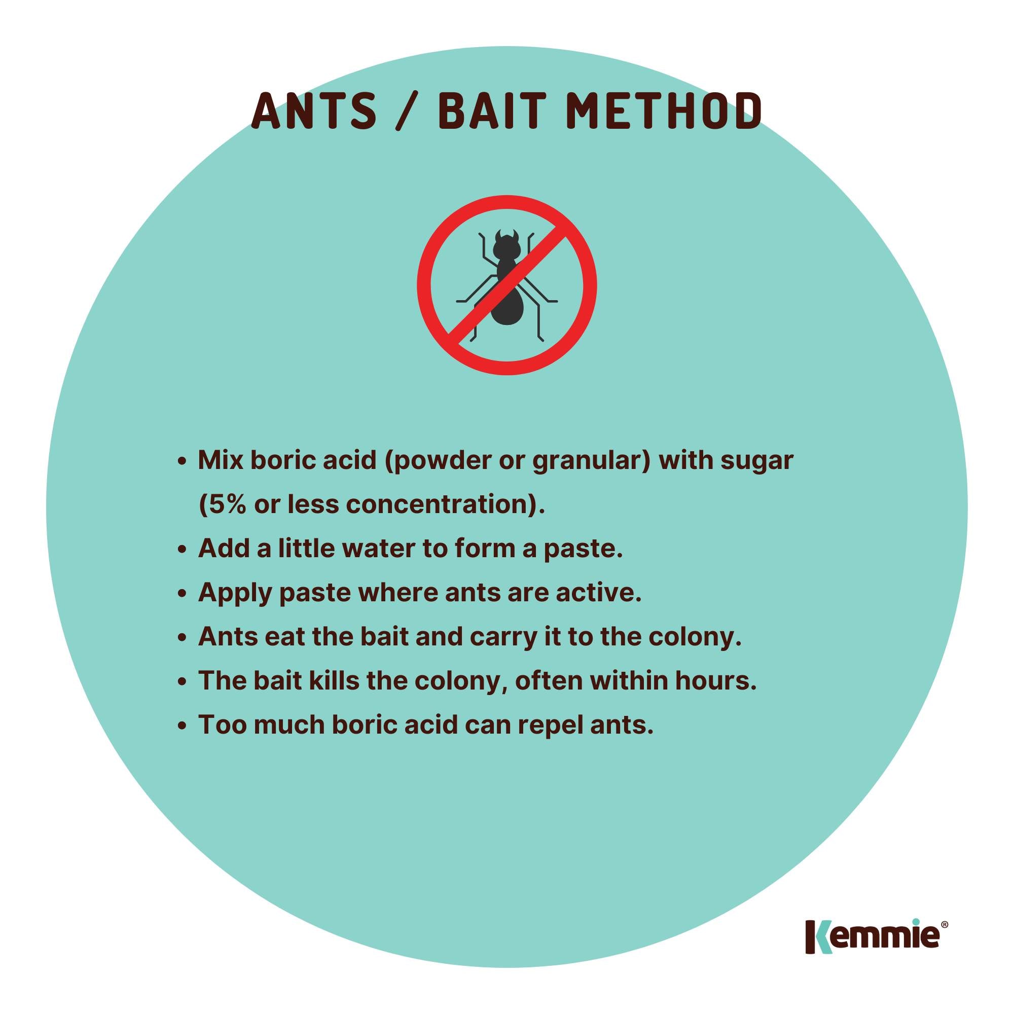 1Kg Boric Acid Powder Bucket 99.9% Pure Fully Soluble Granule Pest Ant Roaches - Pet Care > Pest Control > Household