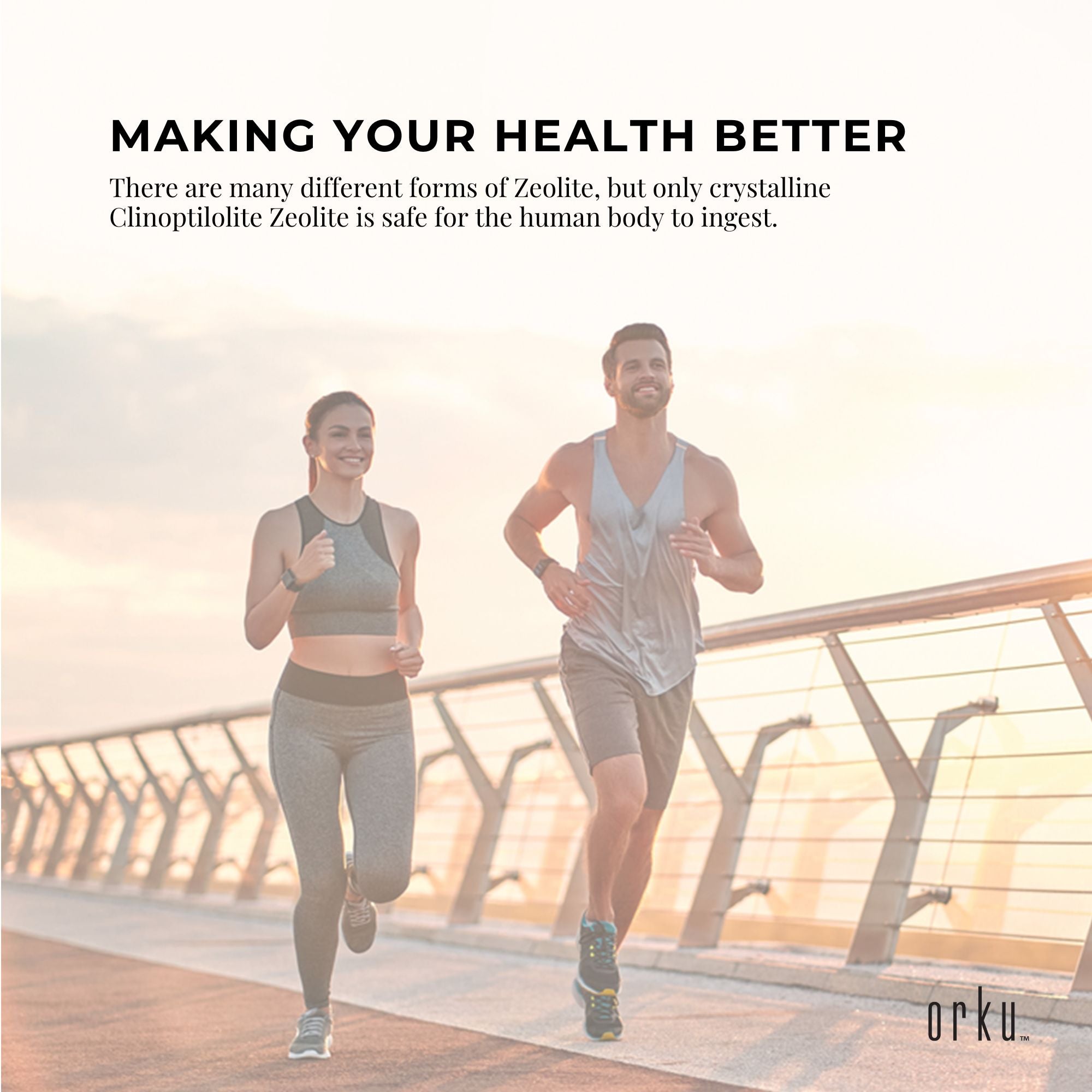 1Kg Pure Micronised Zeolite Powder Mineral - Micronized Volcamin Clinoptilolite - Health & Beauty > Nutrition &